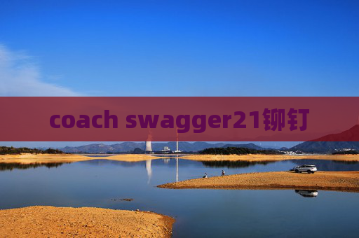 coach swagger21铆钉
